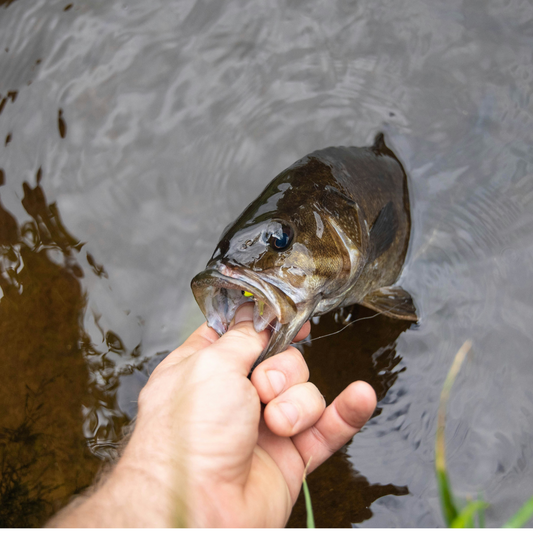 Spring Fishing Adventures: How the BOLO Pack Enhances Your Angling Experience
