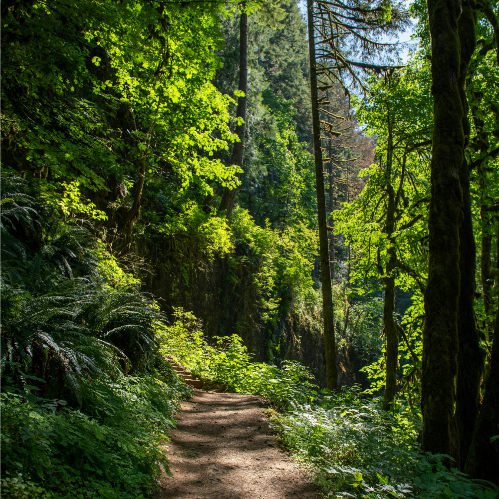 Spring Into Adventure: How the BOLO Pack Makes March Hiking Better
